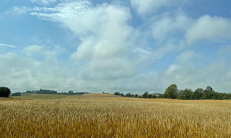 Farmland In Mather, ...