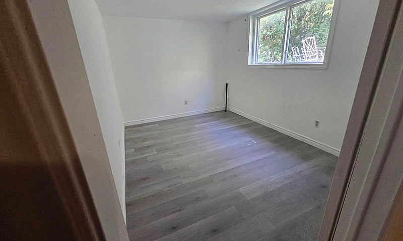 2 Bedroom Basement F...
