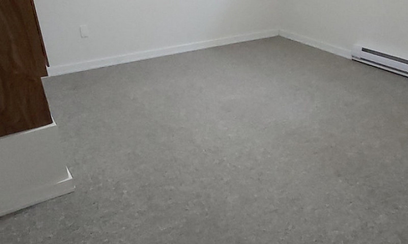 One Bedroom Basement...