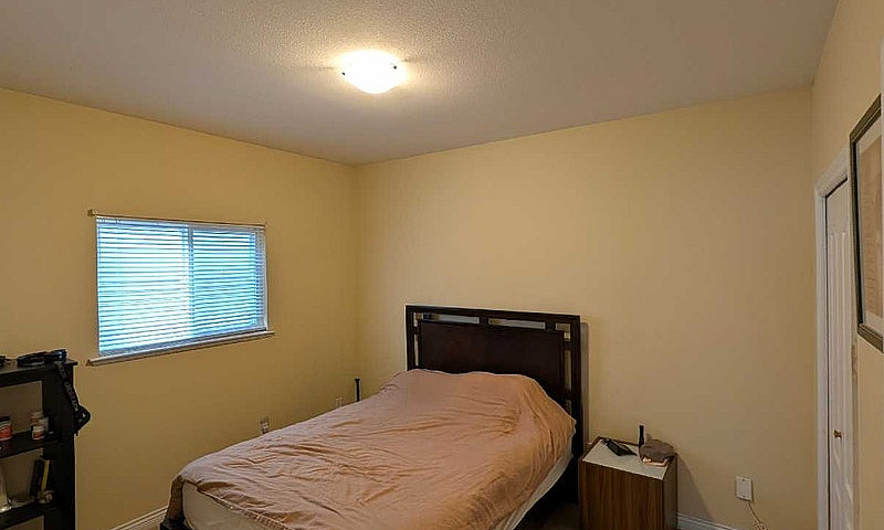 $1,100 All-Inclusive...