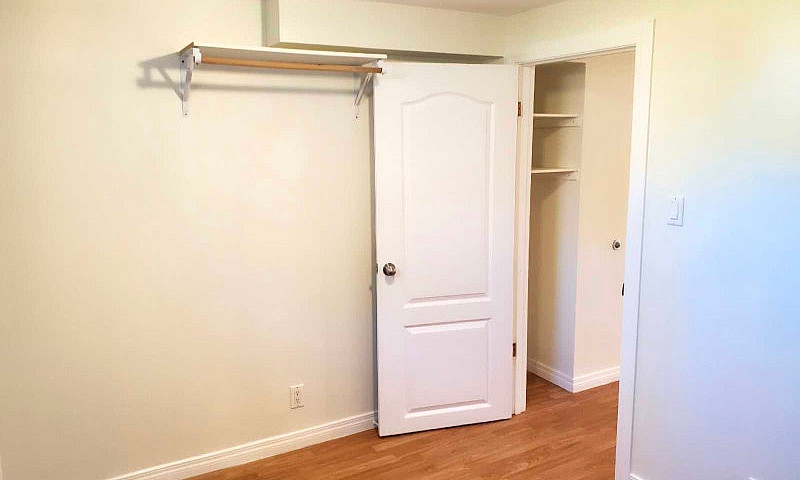 Basement Suite For R...
