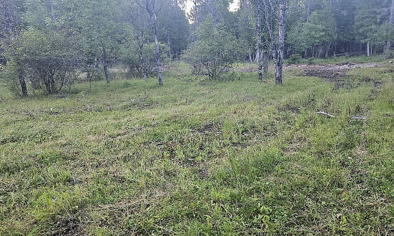 Terrain De 1 Acre À ...