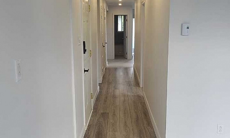 Fully Renovated 4 1/...