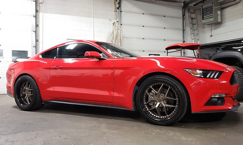 2016 Ecoboost Mustan...