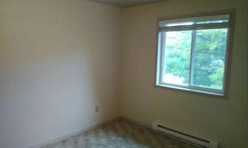 1 Bedroom Plus Offic...