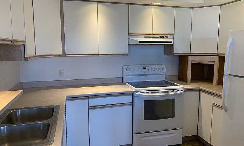 3 Bed 2 Bath Downtow...