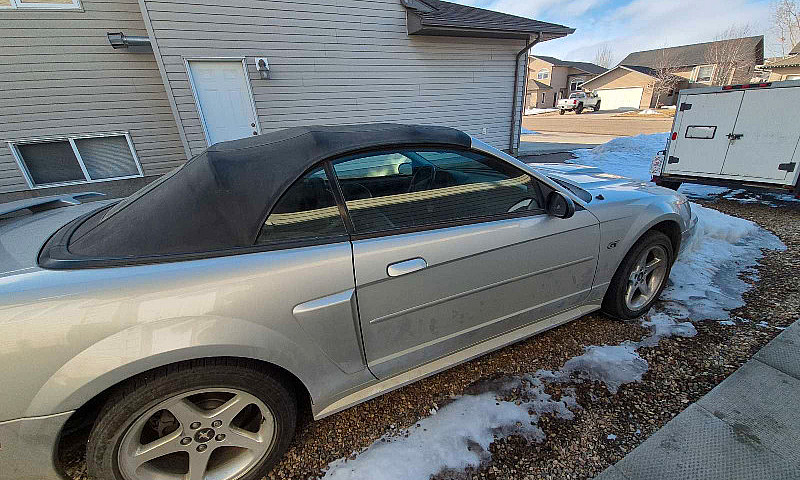 2003 Mustang Gt Conv...