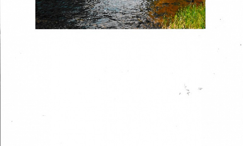 Waterfront Lot With ...