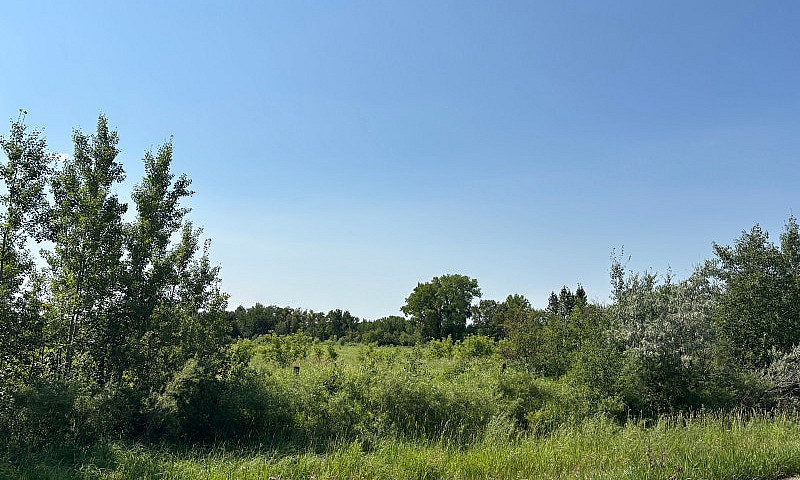 5-Acre Lot. Build Yo...