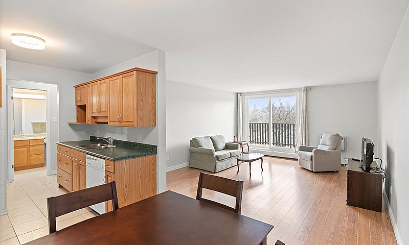 Affordable & Modern ...