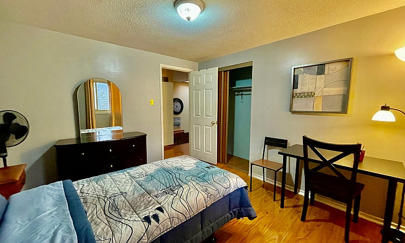 Furnished Room...