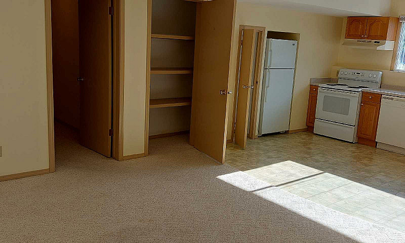 One Bedroom Basement...
