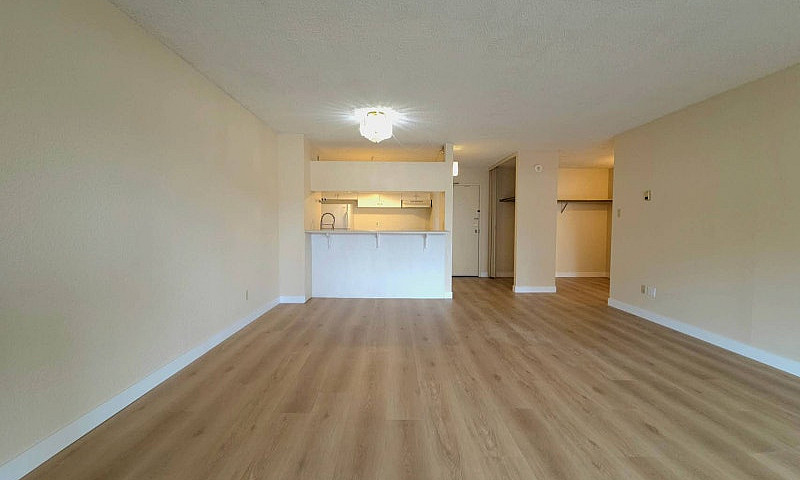 Downtown 1-Bedroom +...