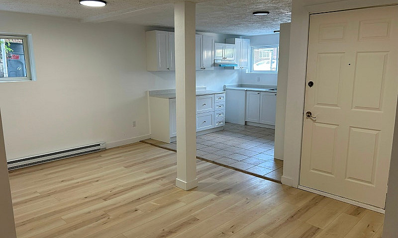 Large 4 1/2 Renovate...