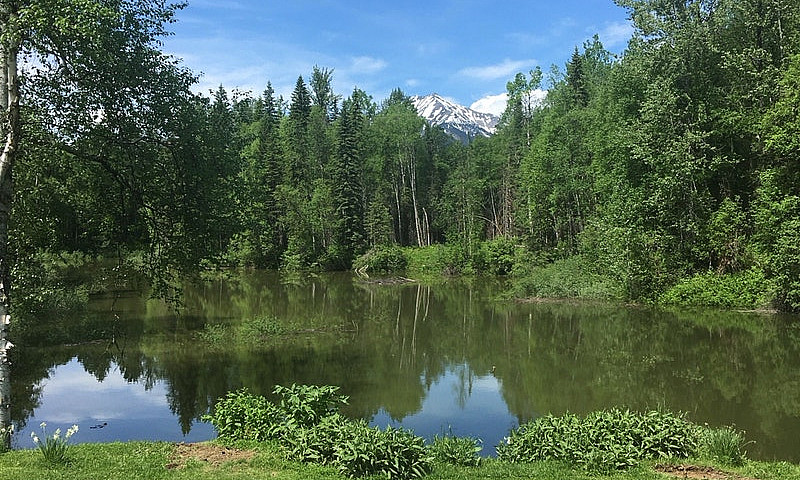 Off Grid Property...