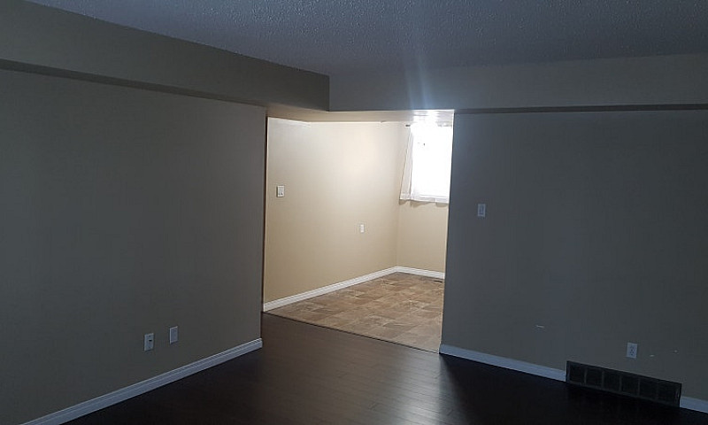 2 Bedroom Basement S...