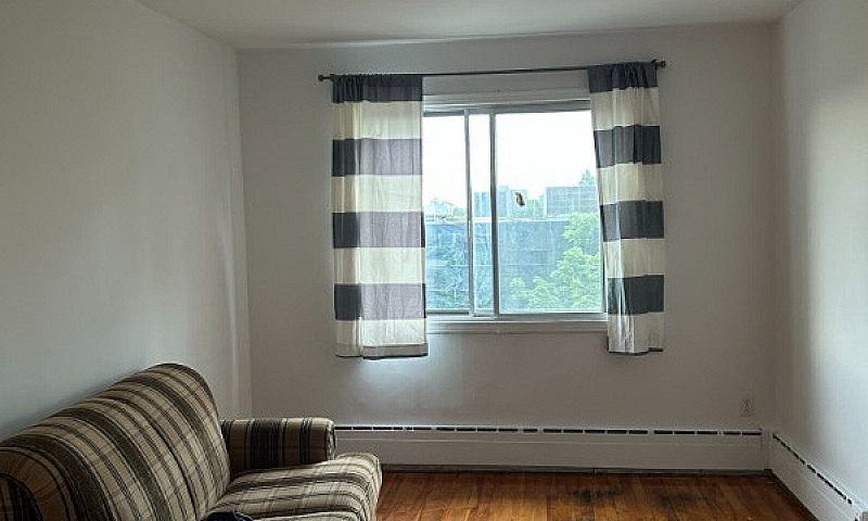 Grand Appartement 4 ...