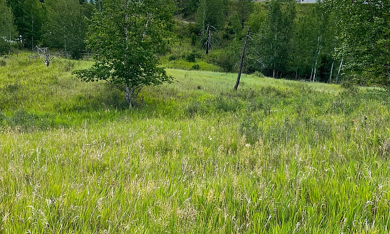 5+ Acres | Heated Sh...