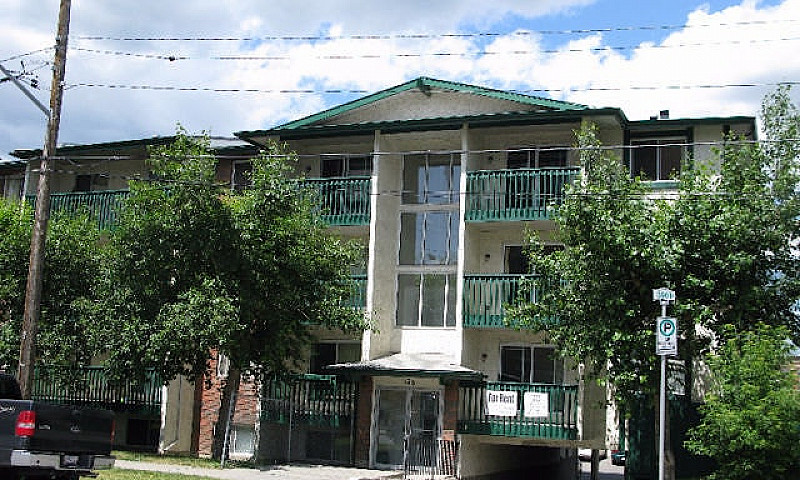1 Bedroom Apartment ...
