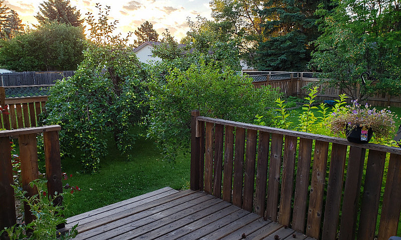 Camrose Home...