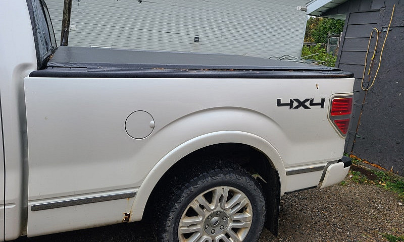 2014 Ford F150 Plati...
