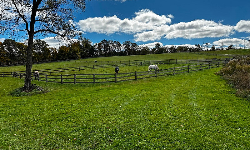 Studio On Horse Farm...