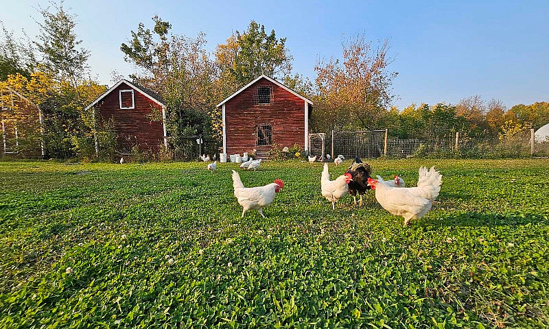 Acreage For Sale...