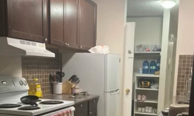 Condo For Rent ( Roo...
