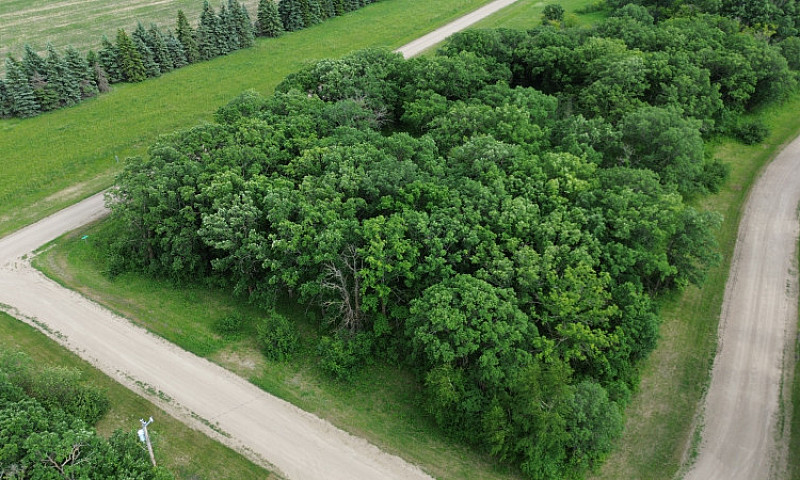 Lot For Sale At Peli...