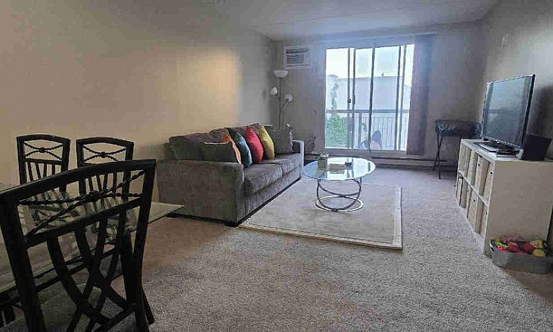 1 Bedroom Apartment...