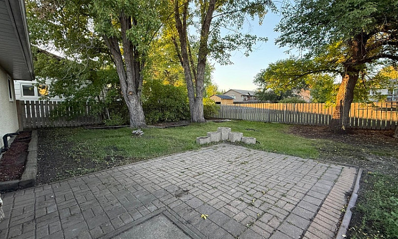 Newly Renovated Home...