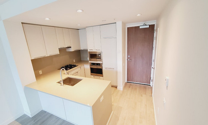 Spacious Modern 1 Be...