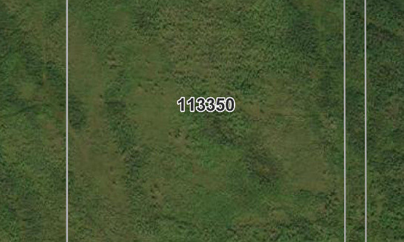 80 Acres Of Bush Lan...