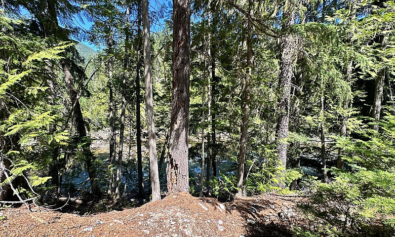 Gold/Placer Claim ...