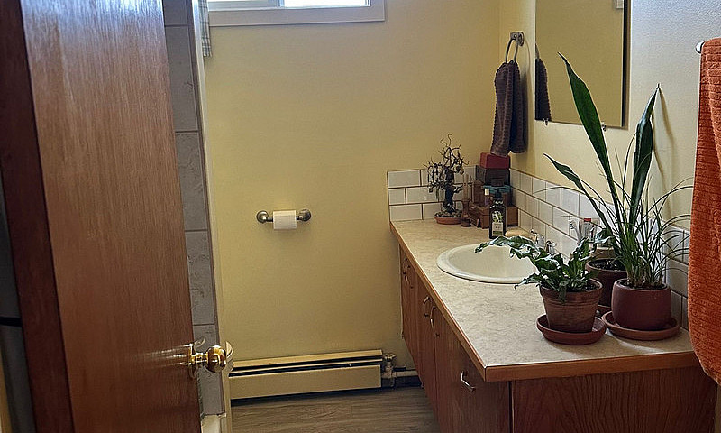 1 Bed 1 Bath Apartme...