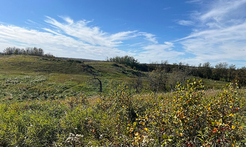 50 Acre Future...