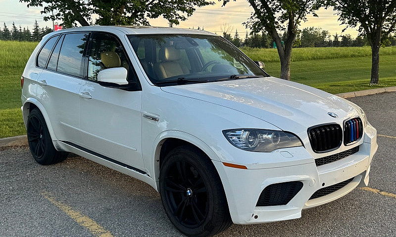 2010 Bmw X5 M...