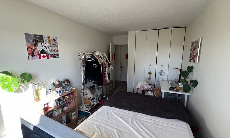 2B1B Unit Near Uofc ...