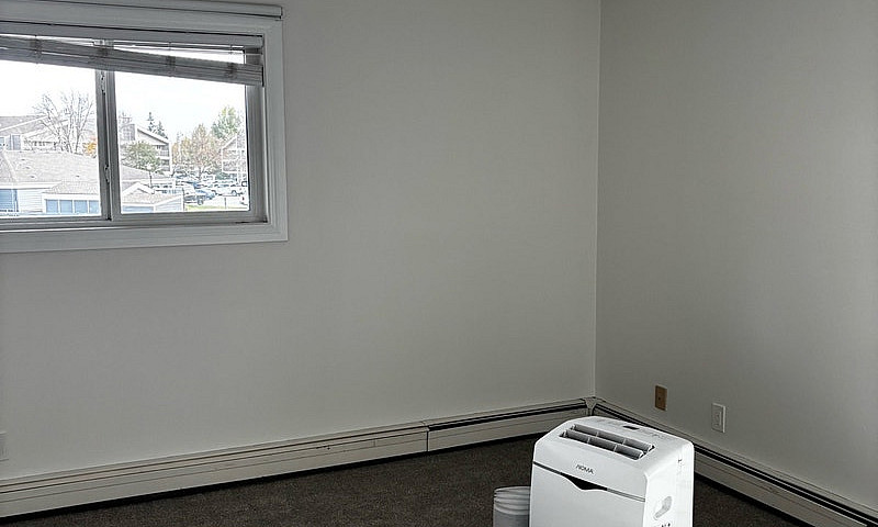 Newly Renovated 2 Be...