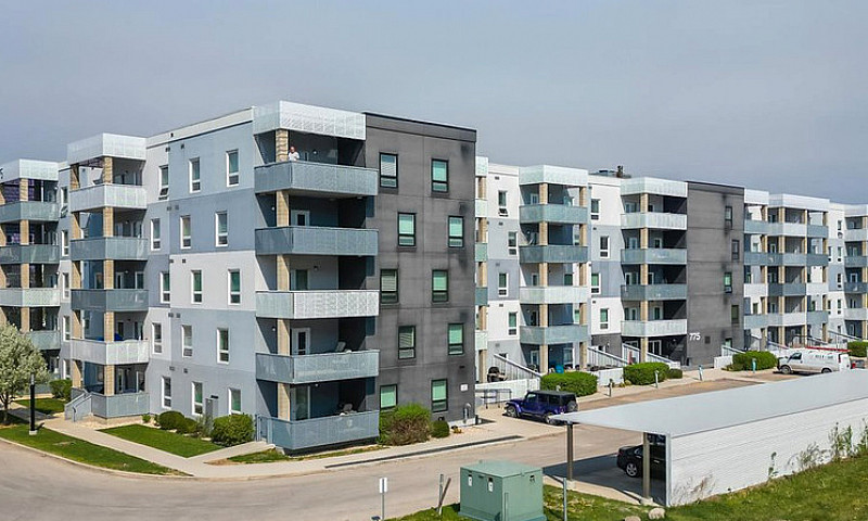 Modern & Affordable ...