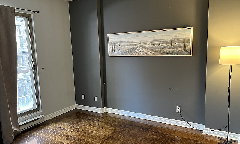 Newly Renovated Cond...