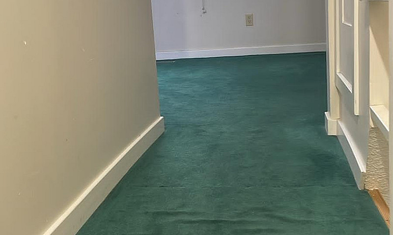 Clean & Cozy Suite F...
