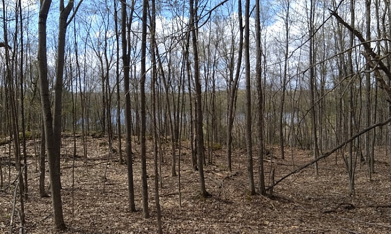 4.95 Acres For Sale ...