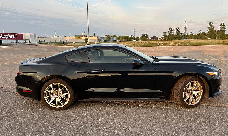 Ford Mustang...