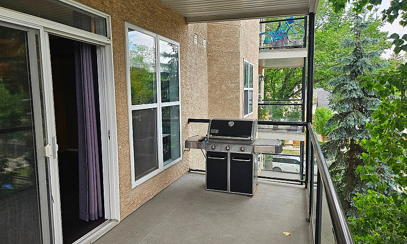 Condo U Of A Edmonto...