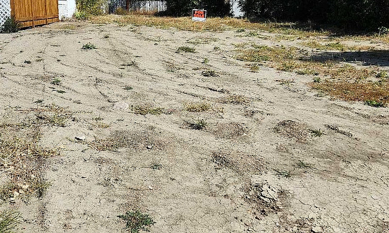 Lot In Shaunavon...