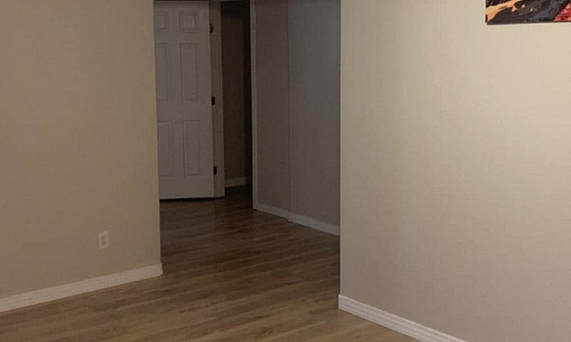 Basement For Rent...
