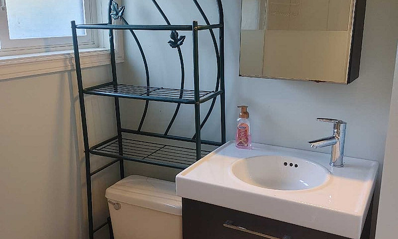 1 Bedroom Basement S...