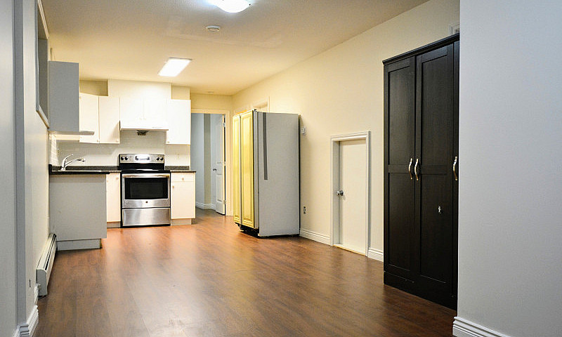 One Bedroom Basement...