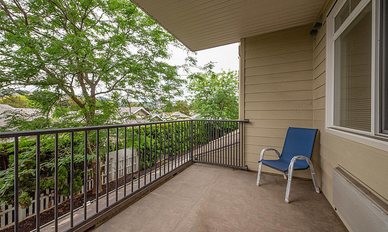 Spacious 1 Bedroom C...
